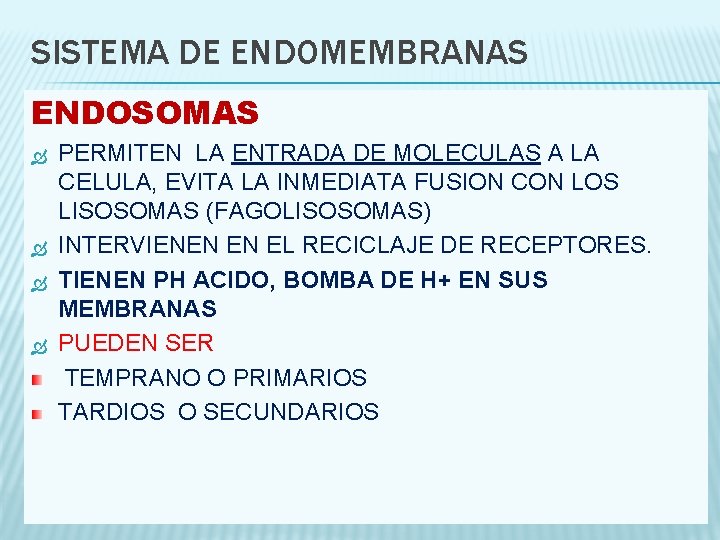 SISTEMA DE ENDOMEMBRANAS ENDOSOMAS PERMITEN LA ENTRADA DE MOLECULAS A LA CELULA, EVITA LA