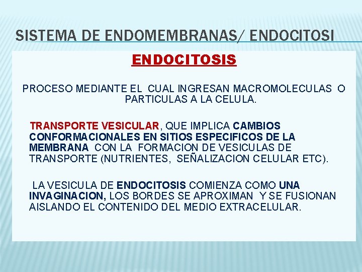 SISTEMA DE ENDOMEMBRANAS/ ENDOCITOSIS PROCESO MEDIANTE EL CUAL INGRESAN MACROMOLECULAS O PARTICULAS A LA