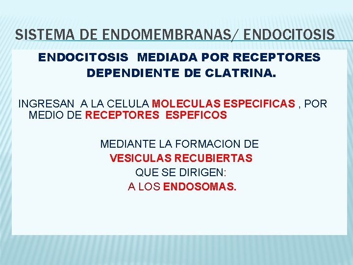SISTEMA DE ENDOMEMBRANAS/ ENDOCITOSIS MEDIADA POR RECEPTORES DEPENDIENTE DE CLATRINA. INGRESAN A LA CELULA