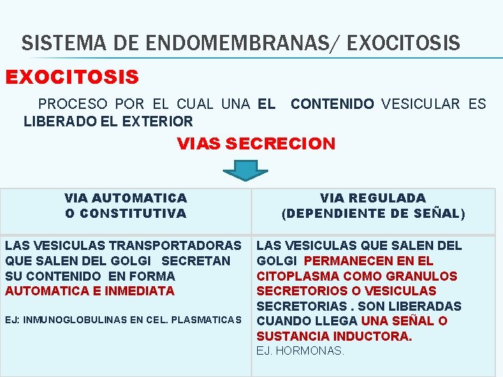 SISTEMA DE ENDOMEMBRANAS/ EXOCITOSIS PROCESO POR EL CUAL UNA EL LIBERADO EL EXTERIOR CONTENIDO
