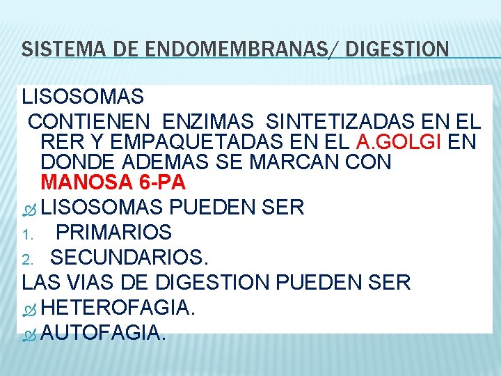 SISTEMA DE ENDOMEMBRANAS/ DIGESTION LISOSOMAS CONTIENEN ENZIMAS SINTETIZADAS EN EL RER Y EMPAQUETADAS EN
