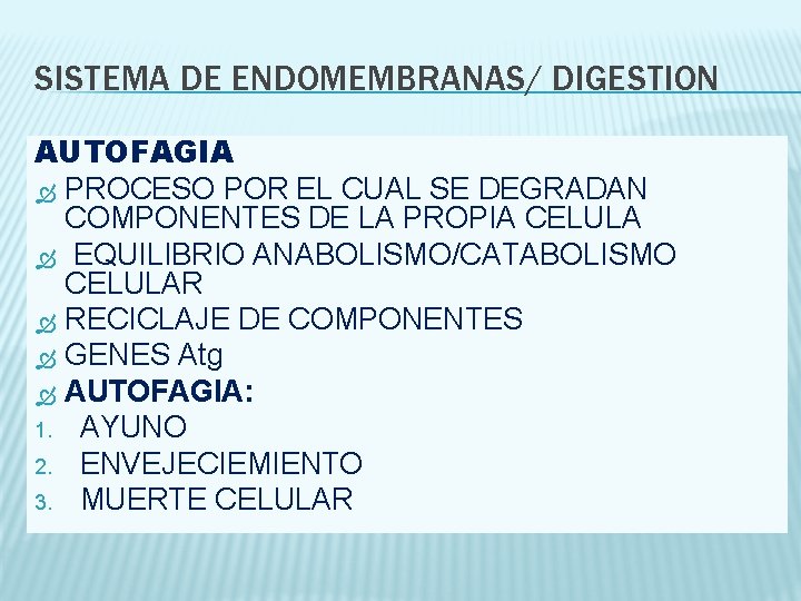 SISTEMA DE ENDOMEMBRANAS/ DIGESTION AUTOFAGIA PROCESO POR EL CUAL SE DEGRADAN COMPONENTES DE LA