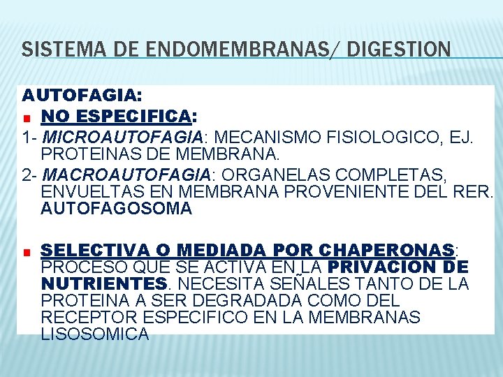 SISTEMA DE ENDOMEMBRANAS/ DIGESTION AUTOFAGIA: NO ESPECIFICA: 1 - MICROAUTOFAGIA: MECANISMO FISIOLOGICO, EJ. PROTEINAS