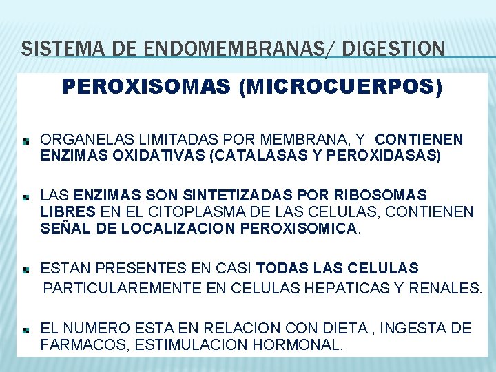 SISTEMA DE ENDOMEMBRANAS/ DIGESTION PEROXISOMAS (MICROCUERPOS) ORGANELAS LIMITADAS POR MEMBRANA, Y CONTIENEN ENZIMAS OXIDATIVAS