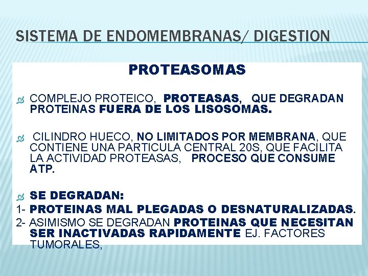 SISTEMA DE ENDOMEMBRANAS/ DIGESTION PROTEASOMAS COMPLEJO PROTEICO, PROTEASAS, QUE DEGRADAN PROTEINAS FUERA DE LOS