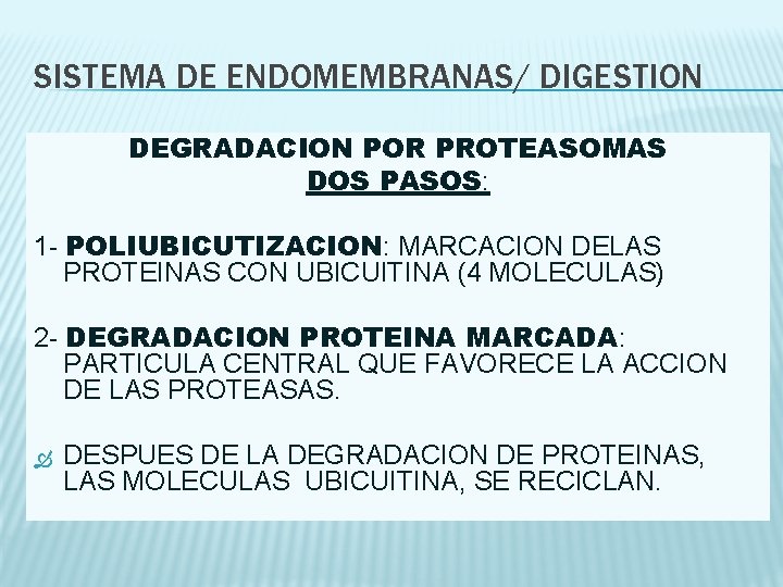 SISTEMA DE ENDOMEMBRANAS/ DIGESTION DEGRADACION POR PROTEASOMAS DOS PASOS: 1 - POLIUBICUTIZACION: MARCACION DELAS