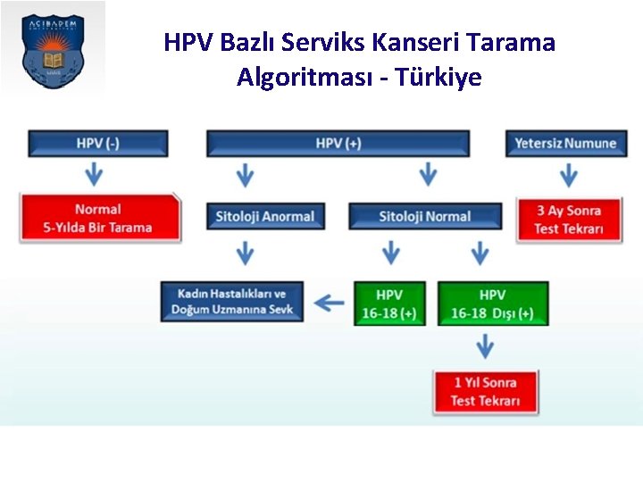 HPV Bazlı Serviks Kanseri Tarama Algoritması - Türkiye 