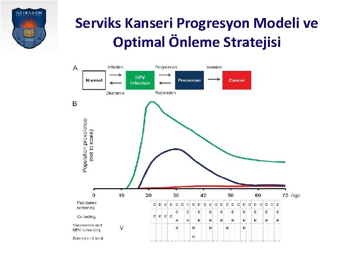 Serviks Kanseri Progresyon Modeli ve Optimal Önleme Stratejisi 