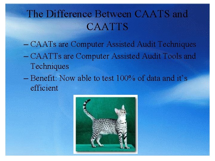 The Difference Between CAATS and CAATTS – CAATs are Computer Assisted Audit Techniques –