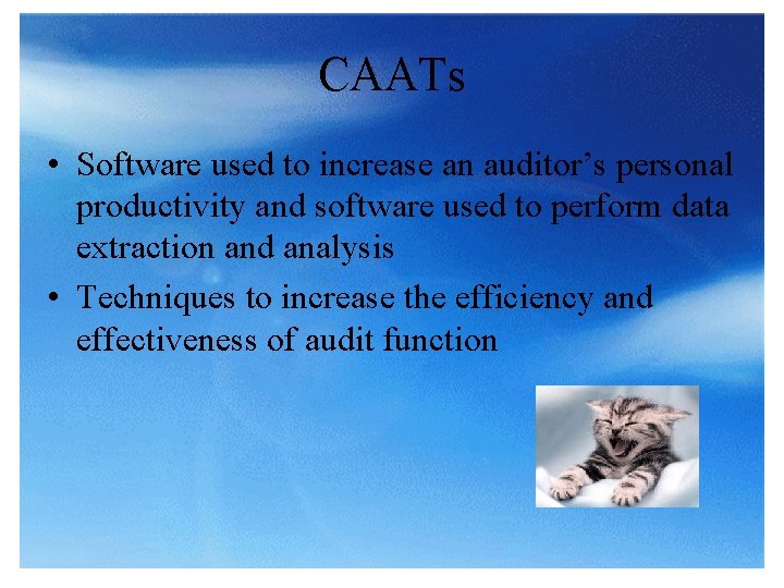 CAATs • Software used to increase an auditor’s personal productivity and software used to