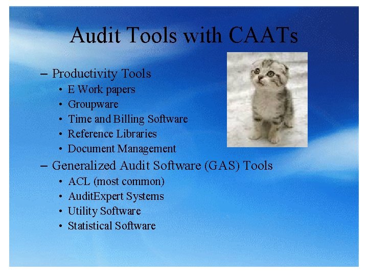 Audit Tools with CAATs – Productivity Tools • • • E Work papers Groupware