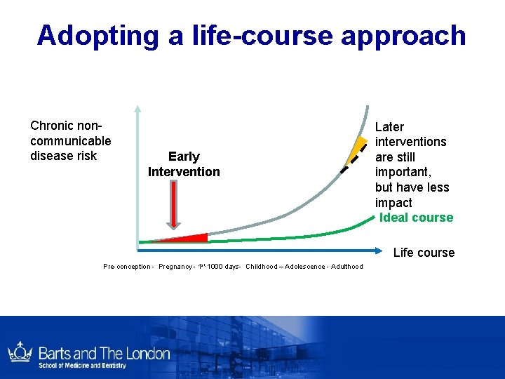 Adopting a life-course approach Chronic noncommunicable disease risk Early Intervention Later interventions are still Adopting a life-course approach Chronic noncommunicable disease risk Early Intervention Later interventions are still
