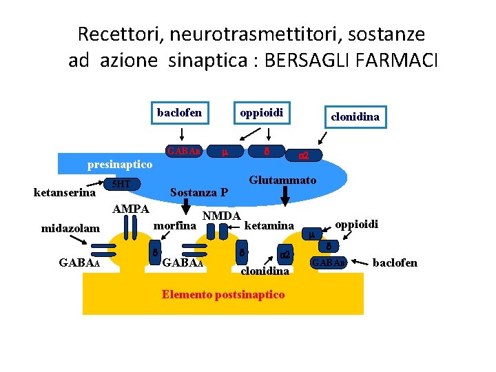 Recettori, neurotrasmettitori, sostanze ad azione sinaptica : BERSAGLI FARMACI baclofen oppioidi m GABAB d