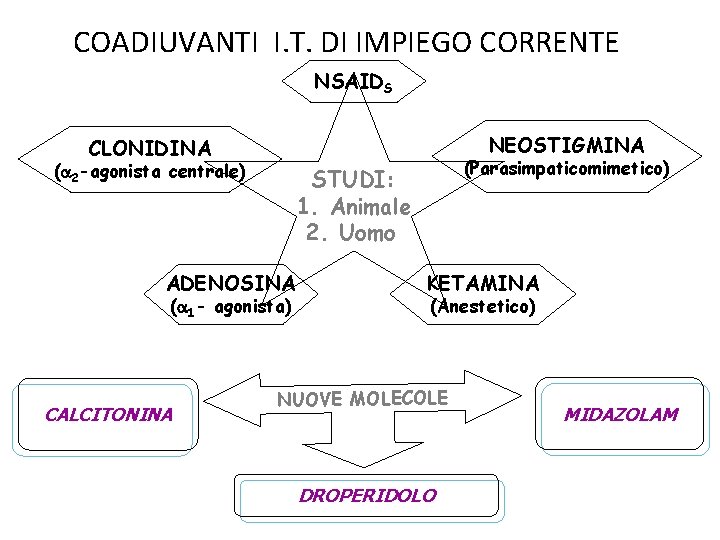 COADIUVANTI I. T. DI IMPIEGO CORRENTE NSAIDS NEOSTIGMINA CLONIDINA ( 2 -agonista centrale) ADENOSINA