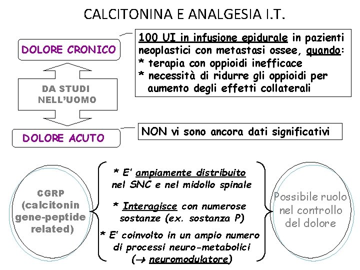 CALCITONINA E ANALGESIA I. T. DOLORE CRONICO DA STUDI NELL’UOMO DOLORE ACUTO CGRP (calcitonin