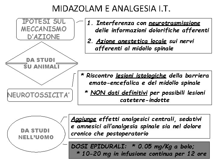 MIDAZOLAM E ANALGESIA I. T. IPOTESI SUL MECCANISMO D’AZIONE 1. Interferenza con neurotrasmissione delle