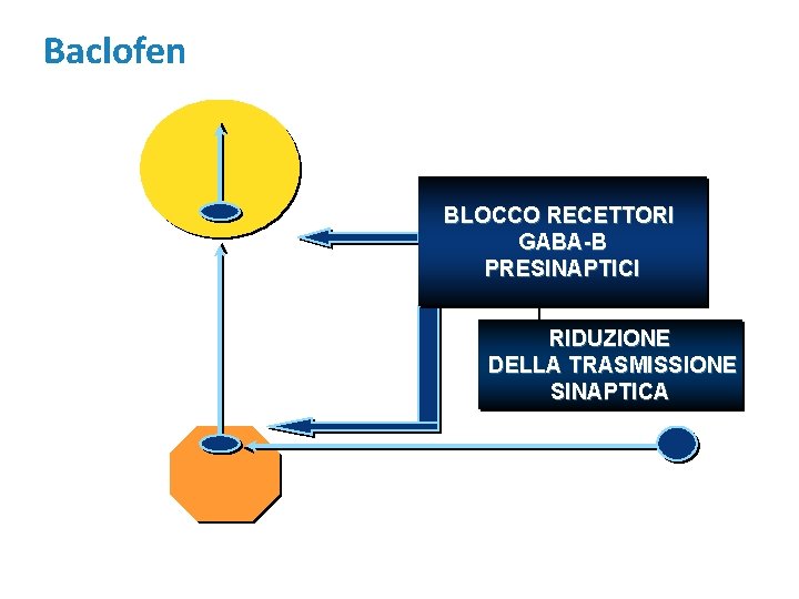 Baclofen BLOCCO RECETTORI GABA-B PRESINAPTICI RIDUZIONE DELLA TRASMISSIONE SINAPTICA 
