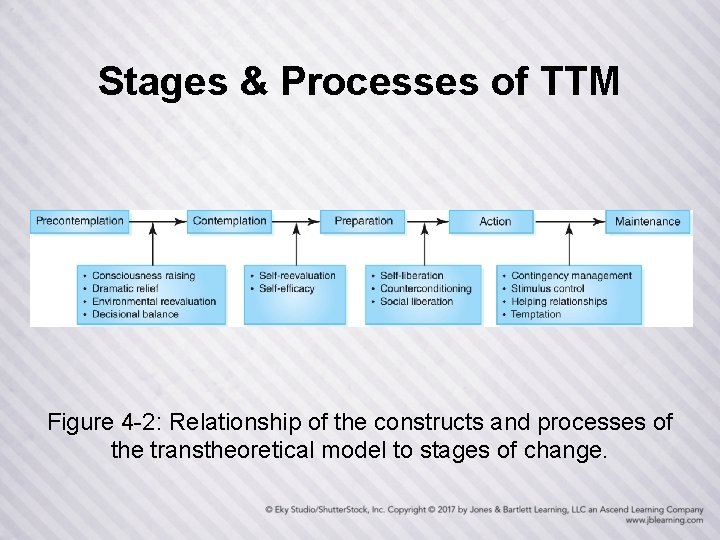 Stages & Processes of TTM Figure 4 -2: Relationship of the constructs and processes