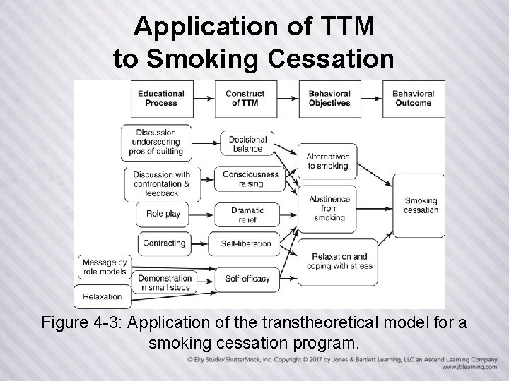 Application of TTM to Smoking Cessation Figure 4 -3: Application of the transtheoretical model