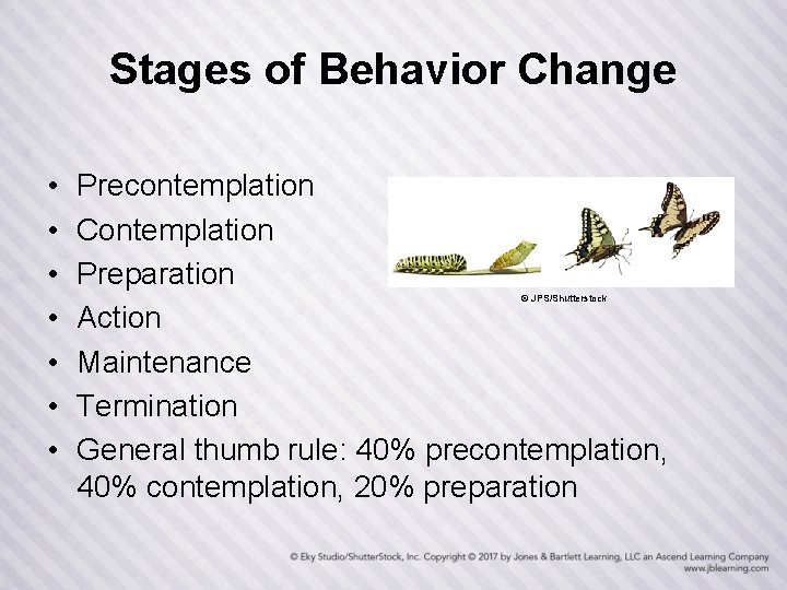 Stages of Behavior Change • • Precontemplation Contemplation Preparation Action Maintenance Termination General thumb