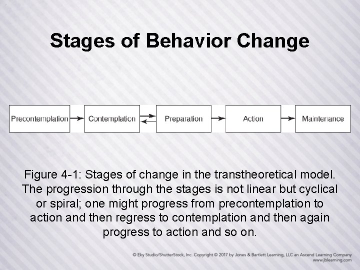 Stages of Behavior Change Figure 4 -1: Stages of change in the transtheoretical model.