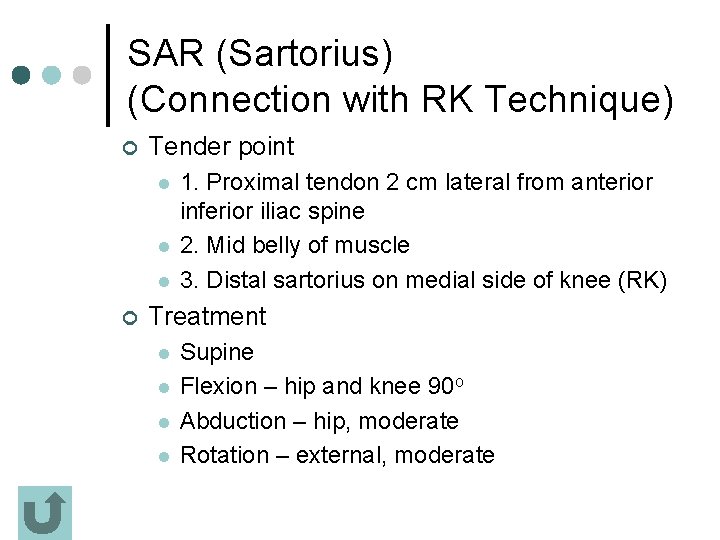 SAR (Sartorius) (Connection with RK Technique) ¢ Tender point l l l ¢ 1.