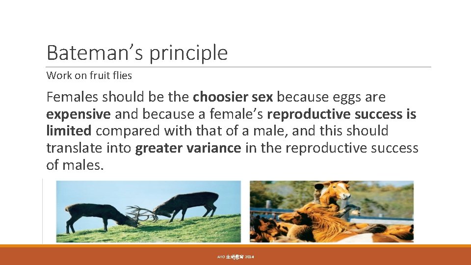 Bateman’s principle Work on fruit flies Females should be the choosier sex because eggs