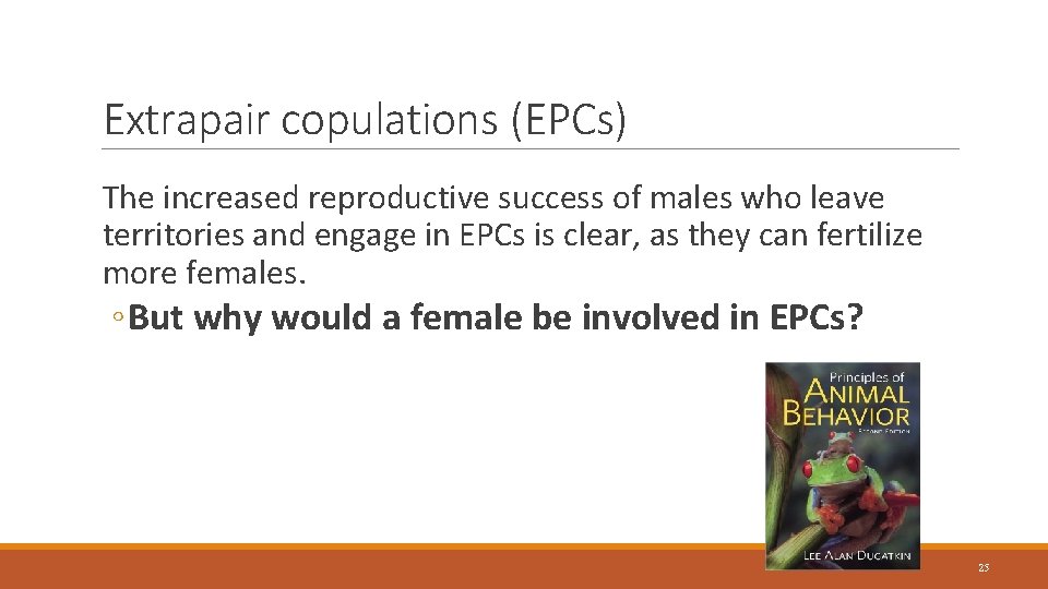 Extrapair copulations (EPCs) The increased reproductive success of males who leave territories and engage