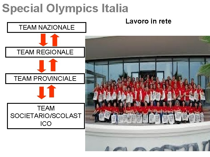 Special Olympics Italia TEAM NAZIONALE TEAM REGIONALE TEAM PROVINCIALE TEAM SOCIETARIO/SCOLAST ICO Lavoro in