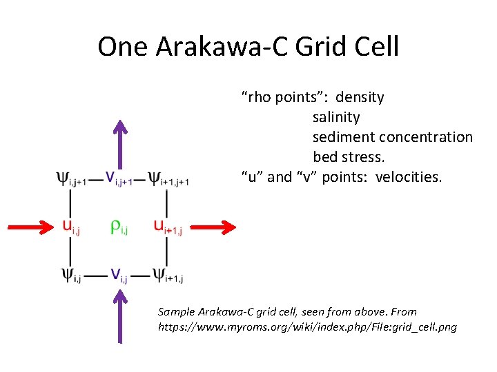 One Arakawa-C Grid Cell “rho points”: density salinity sediment concentration bed stress. “u” and