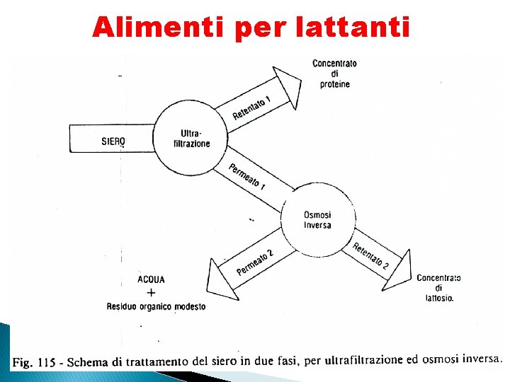 Alimenti per lattanti 