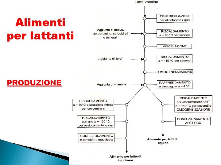 Alimenti per lattanti PRODUZIONE 