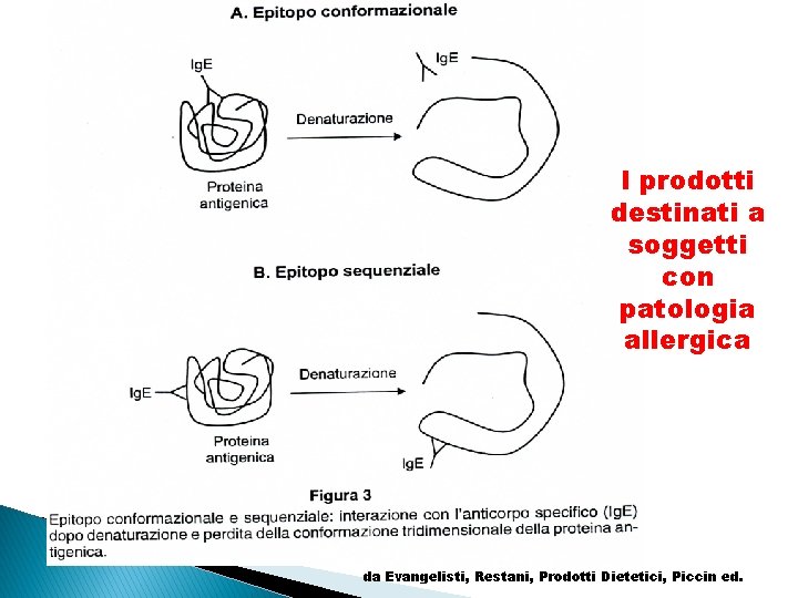 I prodotti destinati a soggetti con patologia allergica da Evangelisti, Restani, Prodotti Dietetici, Piccin