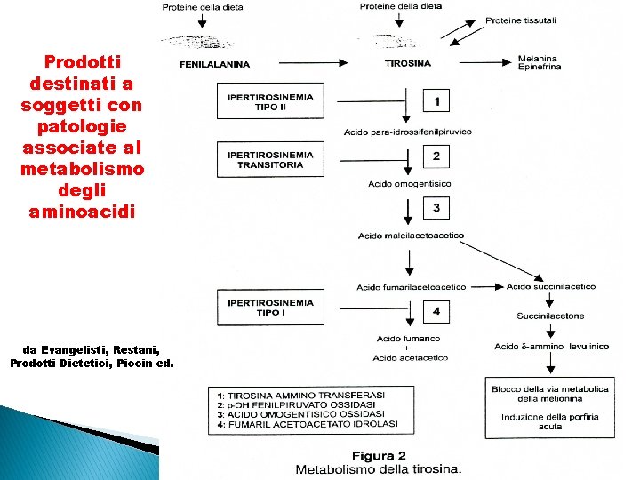 Prodotti destinati a soggetti con patologie associate al metabolismo degli aminoacidi da Evangelisti, Restani,