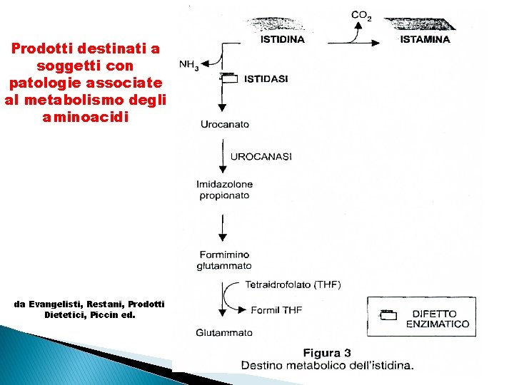 Prodotti destinati a soggetti con patologie associate al metabolismo degli aminoacidi da Evangelisti, Restani,