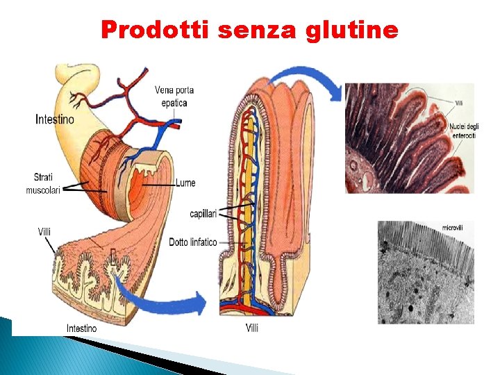 Prodotti senza glutine 