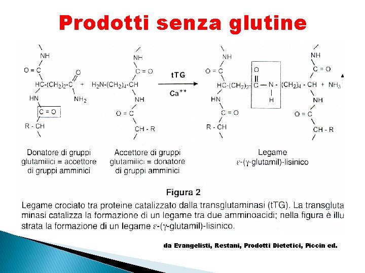 Prodotti senza glutine da Evangelisti, Restani, Prodotti Dietetici, Piccin ed. 