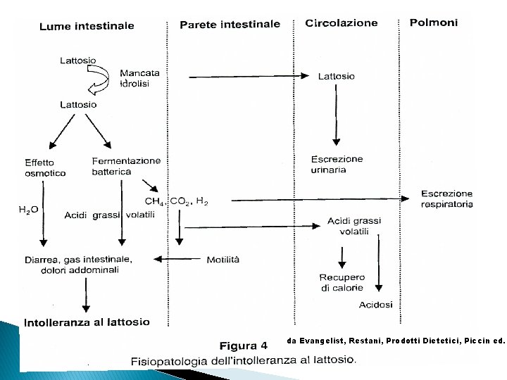 da Evangelist, Restani, Prodotti Dietetici, Piccin ed. 