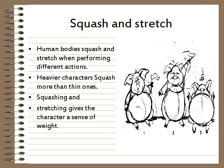 Squash and stretch • Human bodies squash and stretch when performing different actions. •