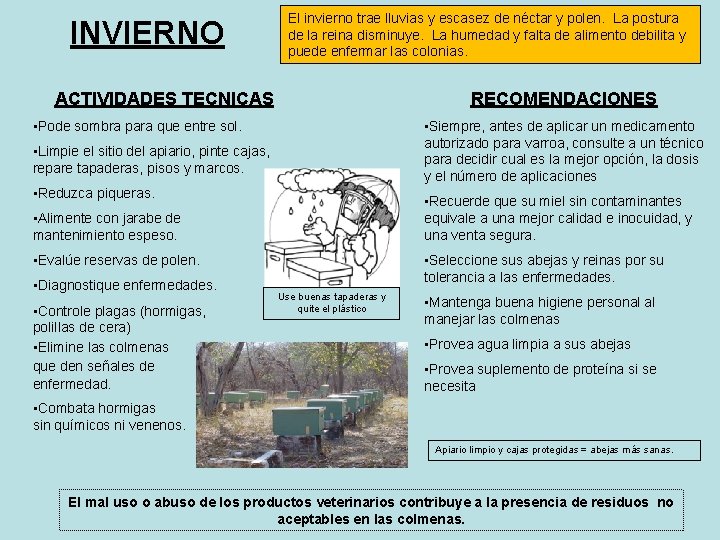 INVIERNO El invierno trae lluvias y escasez de néctar y polen. La postura de