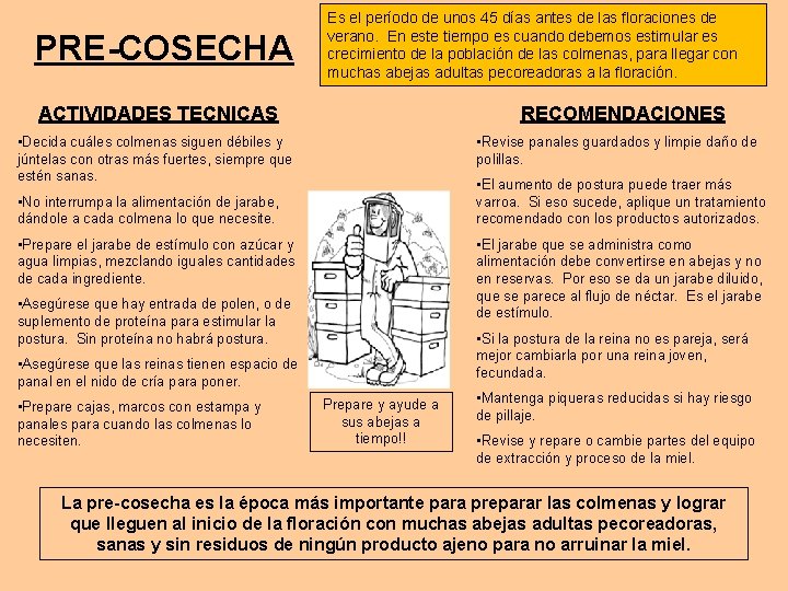 PRE-COSECHA Es el período de unos 45 días antes de las floraciones de verano.