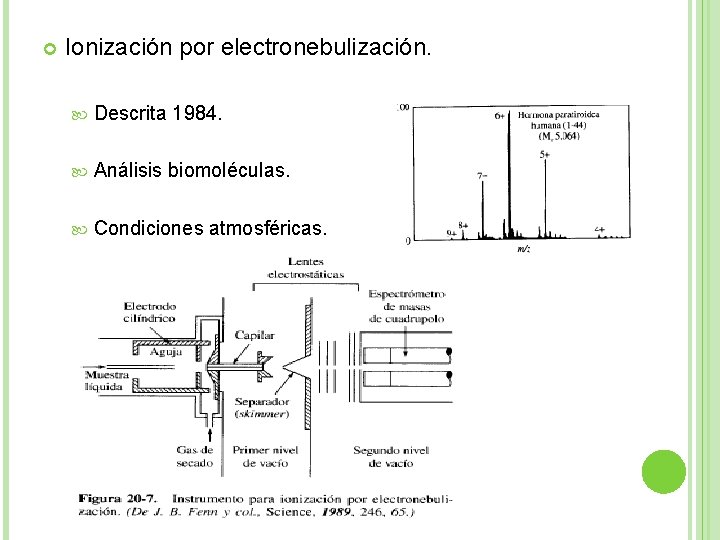  Ionización por electronebulización. Descrita 1984. Análisis biomoléculas. Condiciones atmosféricas. 