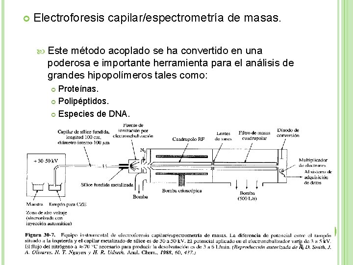  Electroforesis capilar/espectrometría de masas. Este método acoplado se ha convertido en una poderosa