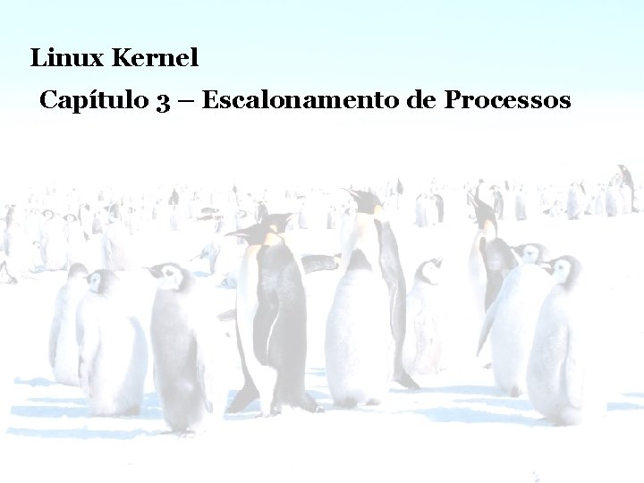 Linux Kernel – Escalonamento de Processos Linux Kernel Capítulo 3 – Escalonamento de Processos