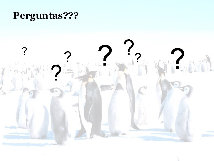 Linux Kernel – Escalonamento de Processos Perguntas? ? ? ? 09/2005, Por ngelo N.