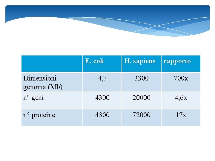 E. coli Dimensioni genoma (Mb) H. sapiens rapporto 4, 7 3300 700 x n°
