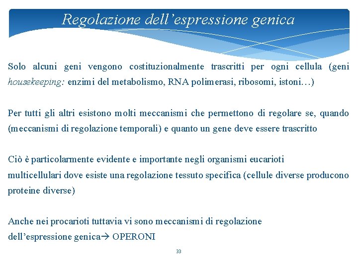 Regolazione dell’espressione genica Solo alcuni geni vengono costituzionalmente trascritti per ogni cellula (geni housekeeping: