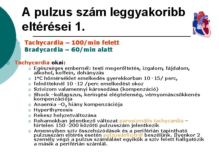 A pulzus szám leggyakoribb eltérései 1. l l ¡ Tachycardia – 100/min felett Bradycardia