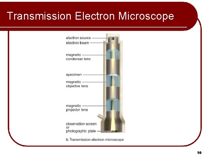 Transmission Electron Microscope 10 