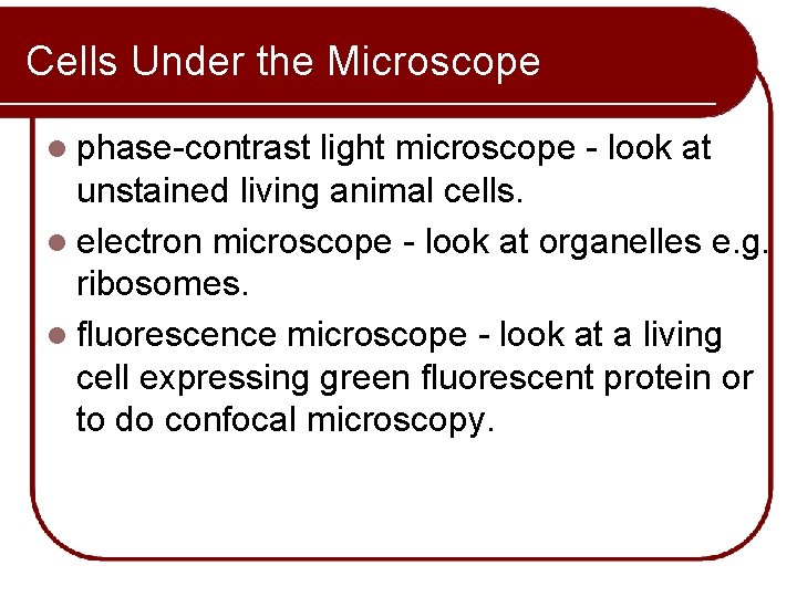 Cells Under the Microscope l phase-contrast light microscope - look at unstained living animal
